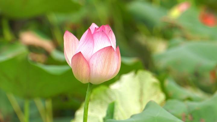 1xBET·Signup(中国区)-官方网站