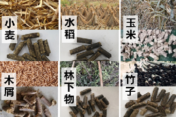 1xBET·Signup(中国区)-官方网站