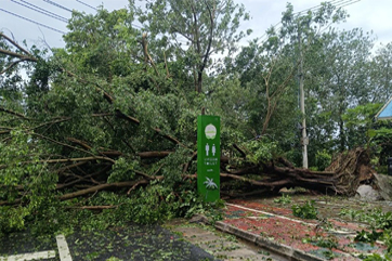 1xBET·Signup(中国区)-官方网站